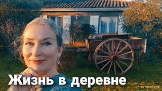 Как живёт блогер. Французская деревня.