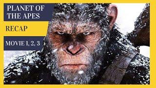 Must Watch Before Kingdom of the Planet of the Apes | Recap of Planet of the Apes 1, 2 & 3 Summary