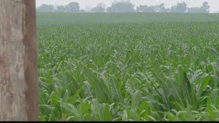 Hoosier farmers dealing with severe drought