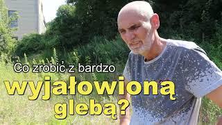 Jak wzbogacić glebę?