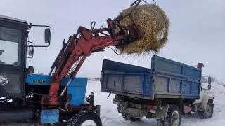 КАК СОХРАНИЛОСЬ СЕНО, СОЛОМА В ПИРАМИДЕ.