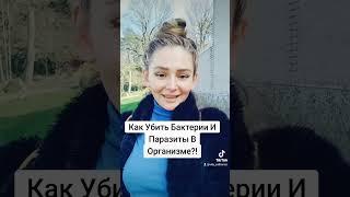 КАК УБИТЬ БАКТЕРИИ В ОРГАНИЗМЕ?