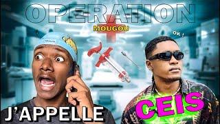 J'APPELLE CEIS AU TELEPHONE ! - Alvin Le Comedien