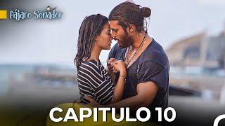 Pájaro Soñador Capítulo 10 (Doblado En Español)