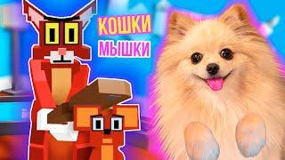 КОШКИ - МЫШКИ В РОБЛОКС | КОТИК ГРЕННИ ГОНЯЕТСЯ ЗА МЫШАМИ В ROBLOX | Kitty