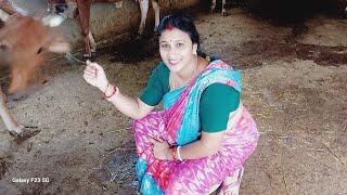 kalyani  vlogs is live
