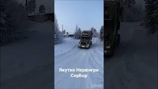 Вольво Америка Золотая