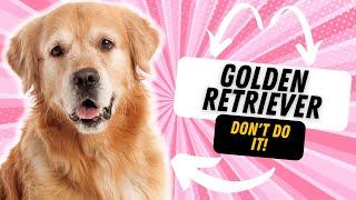 WHY YOU SHOULDN'T GET A GOLDEN RETRIEVER