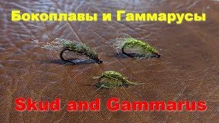 Нимфы Sсud and Gammarus Бокоплавы и Гаммарусы