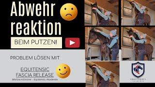 Abwehrreaktion beim Putzen - Pferd lässt sich nicht anfassen - EquiTensic Fascia Release löst!