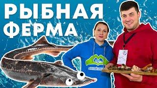 КАК ВЫРАЩИВАЮТ РЫБУ | Экскурсия на акваферму «Рыбное подворье» | Покупай тюменское!