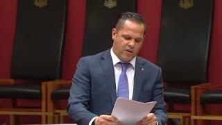 Senator Peter Georgiou Maiden Speech Part 2