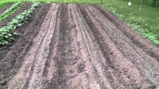 LifeInVT Spring Garden 2012 Potato and corn planting