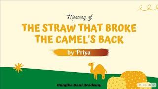 'The Straw That Broke The Camel's Back' Idiom - Meaning, Examples and Exercises (Hindi)