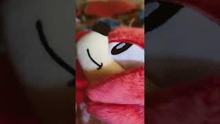 I got classic knuckles plush