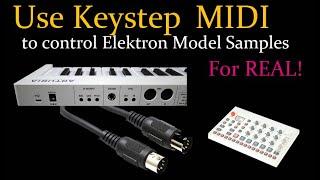 Use Midi keyboard to control Elektron Model samples in 4 minutes!