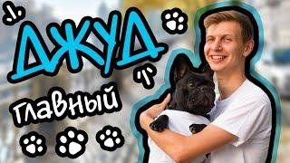 Prague Education Center | Летняя школа 2018