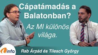 Cápatámadás a Balatonban? Az MI különös világa. Rab Árpád, Tilesch György, Inforádió, Aréna