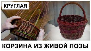 КРУГЛАЯ КОРЗИНА ИЗ ЖИВОЙ ЛОЗЫ/ROUND BASKET #лозоплетение