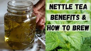 STINGING NETTLE TEA BENEFITS + Nettle Tea Recipes (Nettle Benefits)