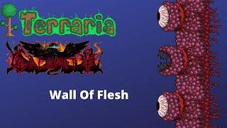 Terraria Calamity: Mage Wall of Flesh Guide