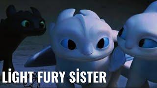 What if light Fury sister?//HTTYD