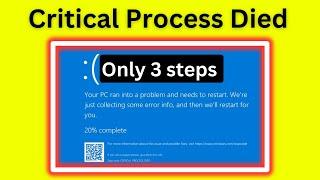 How to fix "Critical Process Died" in Windows 11/10 solution 2024? Stop code critical process died