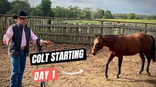 D/C  COLT STARTING  |  Foundation to Phase 1