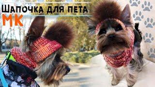 Шапка для собаки спицами Мастер-класс | Шапочка для йорка | DIY hat for dog