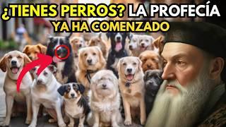 Lo Que NOSTRADAMUS  Predijo Para LOS DUEÑOS DE PERROS | Descubre las Profecías