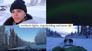 my solo trip to Alaska (winter in Fairbanks)