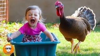 TROUBLE Animals Chasing Babies Compilation - Funny Baby Videos | Just Funniest