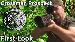 Crosman Prospect PCP Air Rifle: I Was Wrong