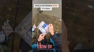 USE THIS BAIT AND TECHNIQUE TO CATCH GIANT PERCH #fishing #fish #perch #fishingtips #howto #perché