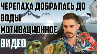 ЧЕРЕПАХА ДОБРАЛАСЬ ДО ВОДЫ : Мотивационное видео из WoW BfA