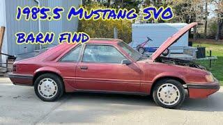 1985.5 Mustang SVO barn find