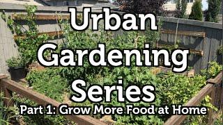 Grow More Food at Home: The Urban Gardening Series Part 1