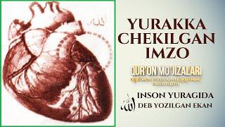 YURAKKA الله CHEKILGAN IMZO - QUR'ON MO'JIZALARI | ЮРАККА ЧЕКИЛГАН ИМЗО - ҚУРЪОН МЎЖИЗАЛАРИ