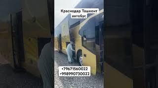 Краснодар Ташкент автобус прямой рейс рейсовый автобус Ташкент Краснодар #краснодар #uzbekkino