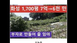 화성 1,700평 7억→6천 만 (부자로 만들어 줄 임야)