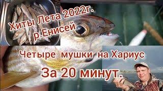 Хиты Лета 2022г. Четыре мушки на Хариус за 20минут