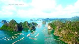 VỊNH BÁI TỬ LONG THÀNH PHỐ CẨM PHẢ , QUẢNG NINH - NƠI THẢ HÀU ĐẸP NHƯ TIÊN CẢNH - Ha long bay