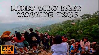 Mines View Park, Baguio City | Walking Tour [4K] | Azo Edition Travel