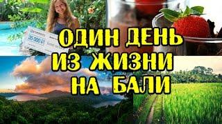 Один день из Жизни на Бали - волонтерская программа, билет на Бали, рецепт сыроедческого десерта