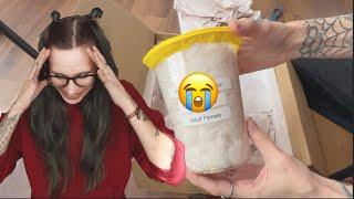 I got PRANKED!.. Tarantula Unboxing takes UNEXPECTED TURN