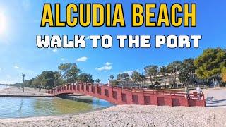 ALCUDIA beach and port walk December 28 2024