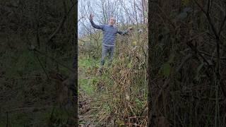 Shrub trees in new woods #treeplanting #nativetrees #forest #motivation #ideas #adventure #foresting