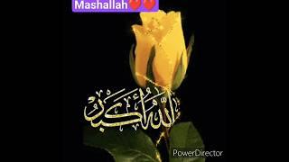 MASHA ALLAH 