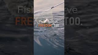 Fish deserve freedom, too.