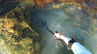 Metal detecting in the rocks at a new beach. Strange finds!